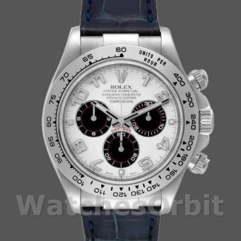Replica Rolex Daytona 40mm Uomo-116519-Panda Quadrante Blu Cinturino Pelle Bianco